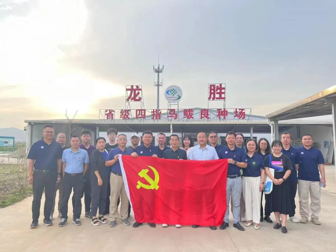 image-20240606231746-4