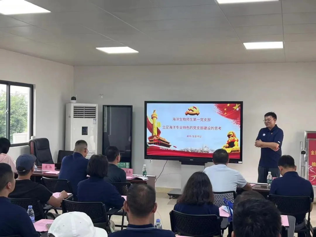 image-20240606231746-6