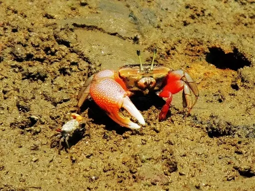 image-20240715182029-1