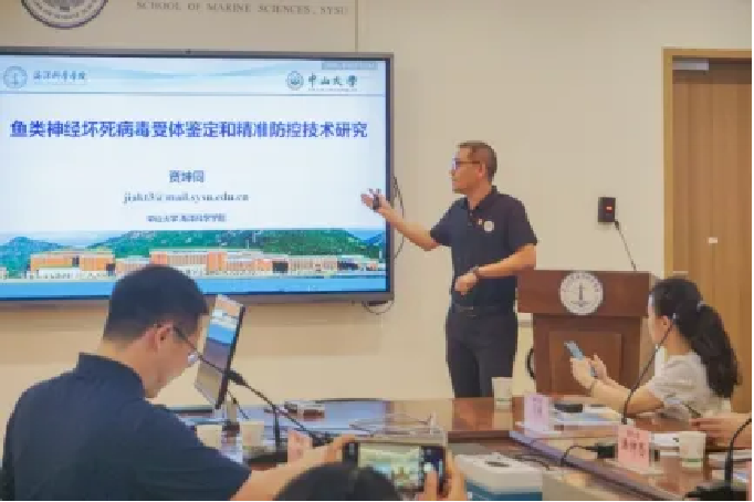 image-20241029154540-11