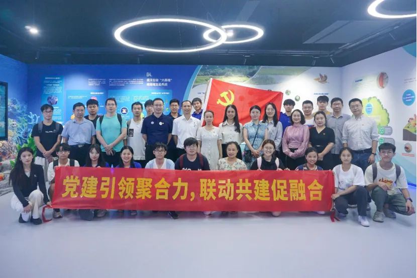 image-20241029154540-20